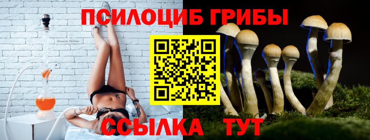 Галлюциногенные грибы GOLDEN TEACHER Медногорск